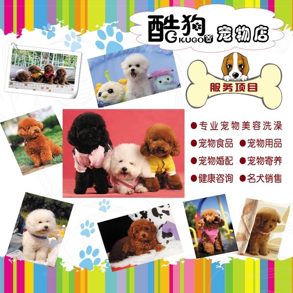寵物圖片