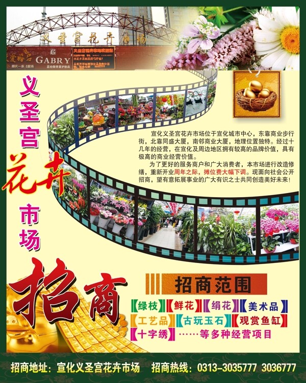 花卉招商膠片圖片