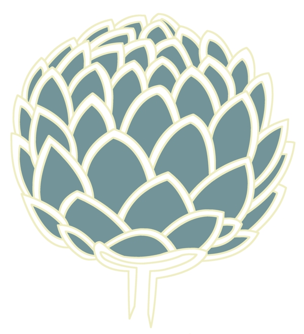 花瓣精彩