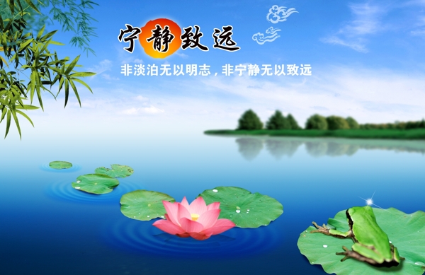 企業(yè)展板