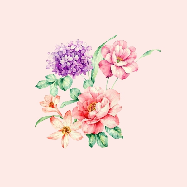 位圖psd植物花朵免費(fèi)素材