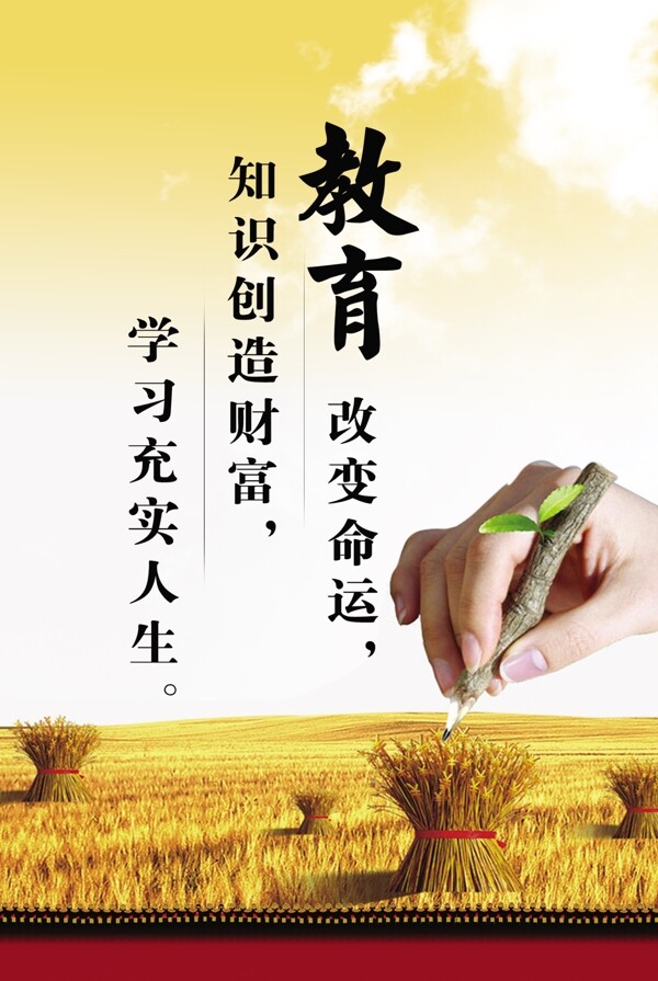 教育展板圖片