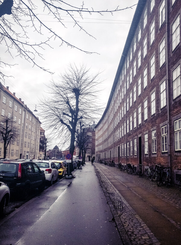 哥本哈根冬天的街景建筑和枯树