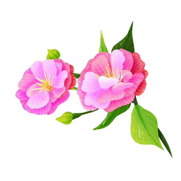 三月薔薇驚蟄三候三候薔薇