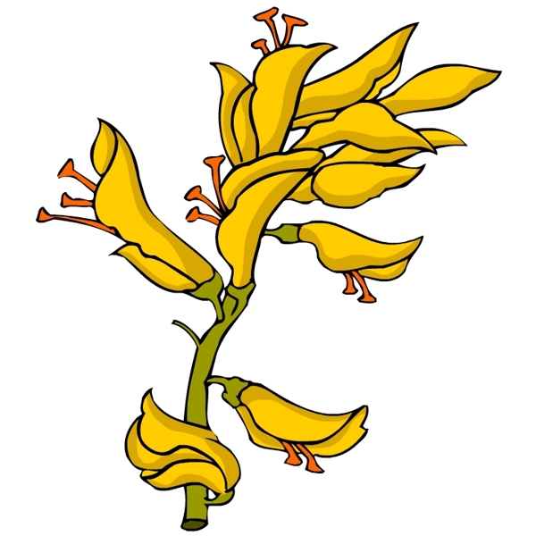 花卉古典插畫