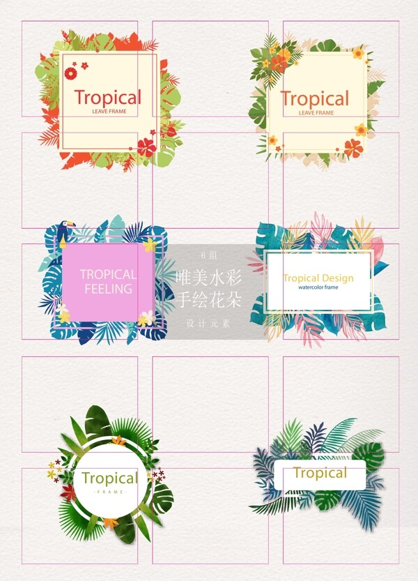 热带植物卡片