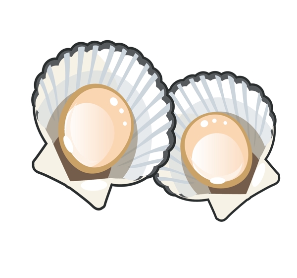 手繪海鮮扇貝插畫
