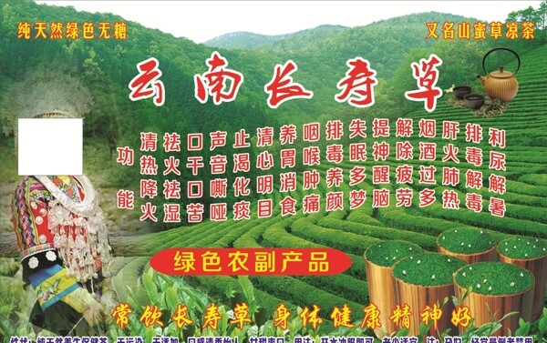 云南長壽草噴繪