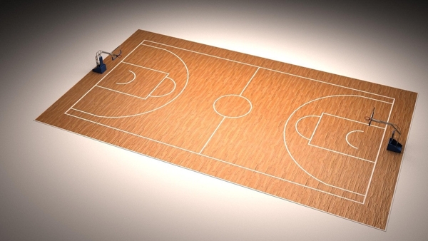 枫木纹标准篮球场图片