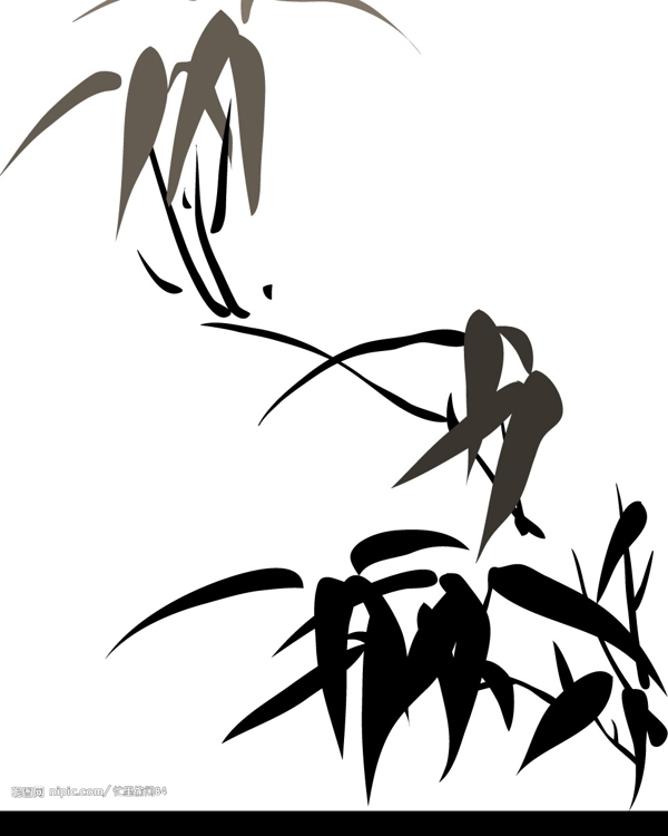竹子圖片
