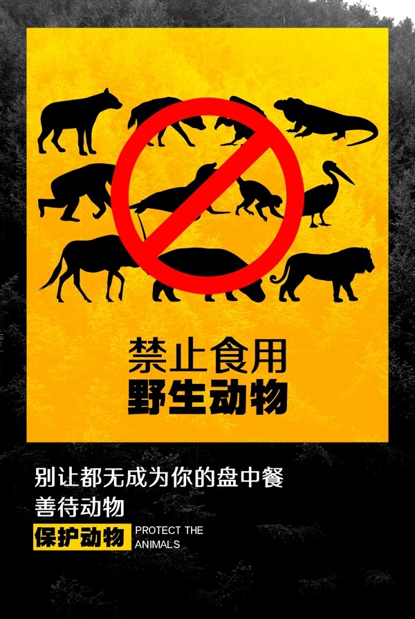 禁止使用野生动物