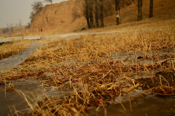 枯草河流图片