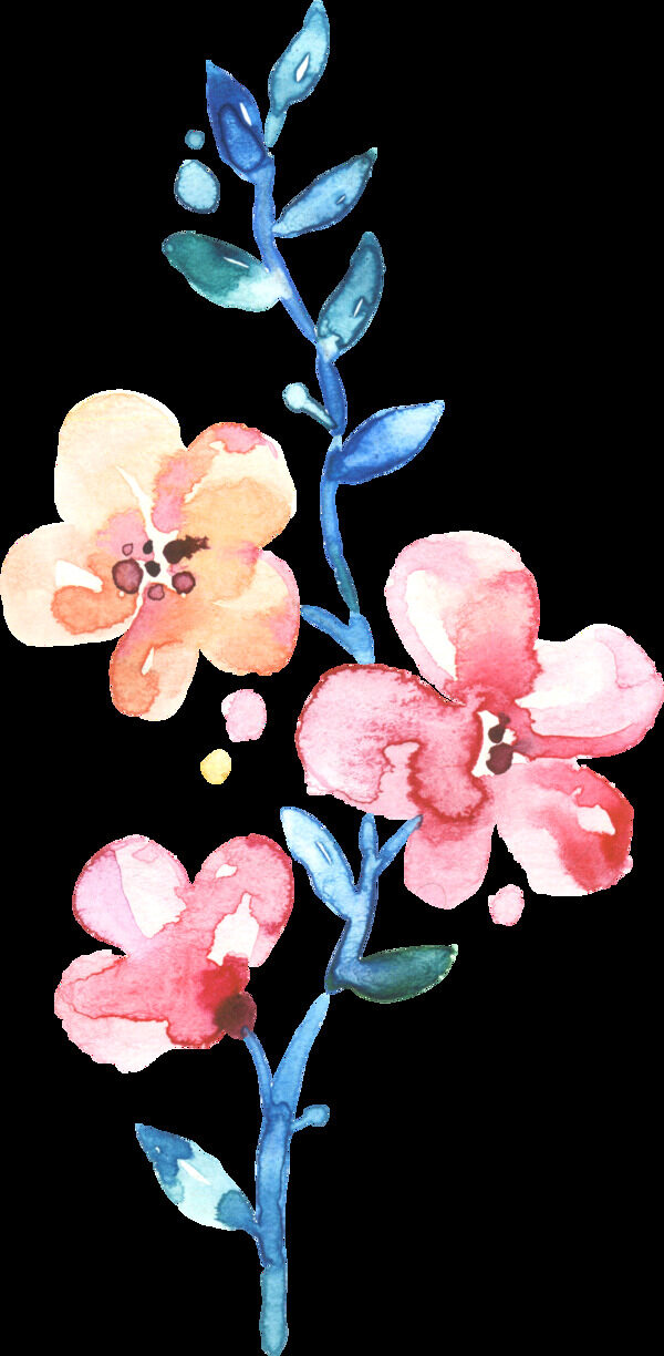 水彩手绘花卉花朵植物