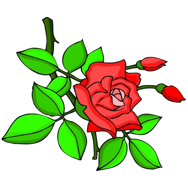 花卉古典插畫
