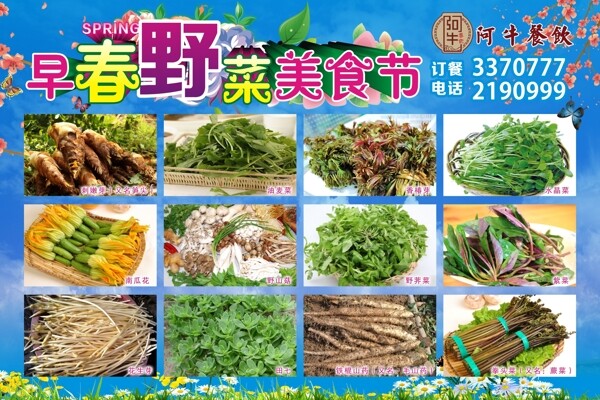 野菜圖