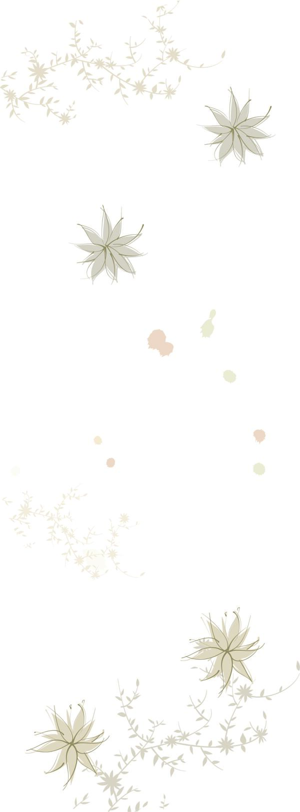 花紋圖片