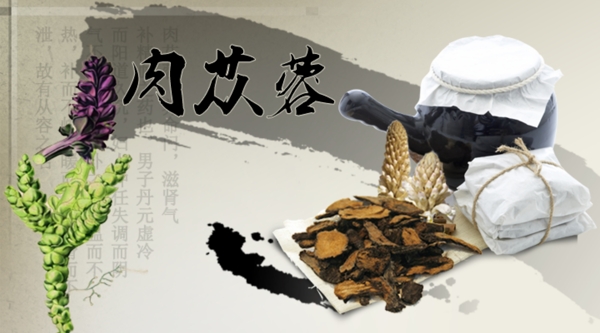 肉從蓉