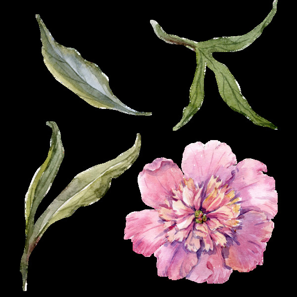 浪漫花卉卡通透明素材