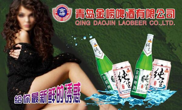 青島金嶗啤酒圖片