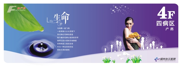 婦產(chǎn)科展板圖片