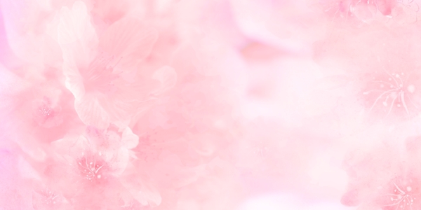 粉色花卉banner