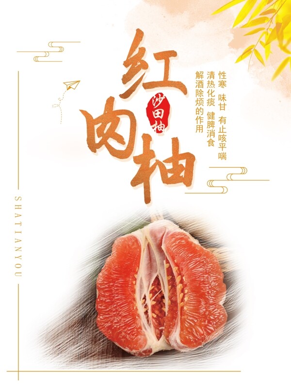 红柚肉沙田柚海报