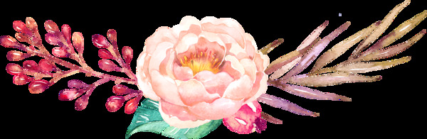 夢(mèng)幻植物透明素材