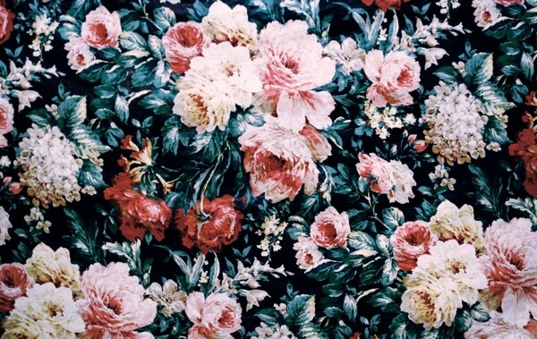 玫瑰花