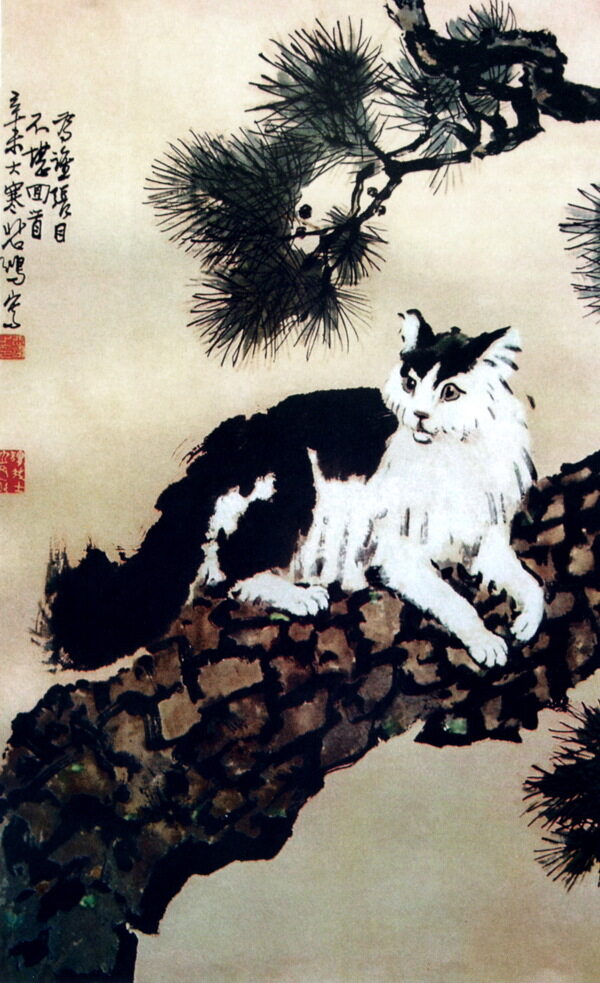 貓