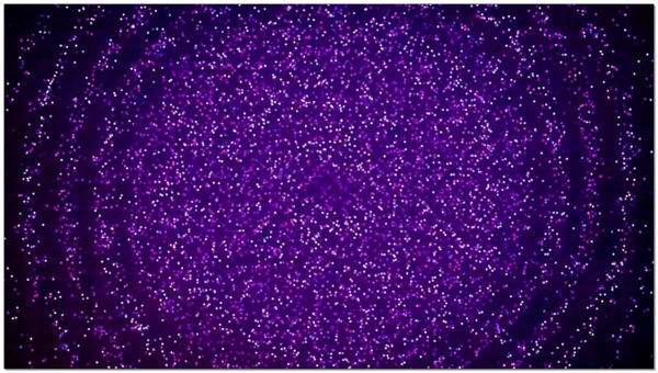 紫海酷炫动态视频素材
