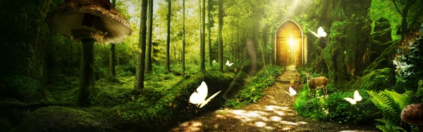 綠葉夢幻森林banner背景