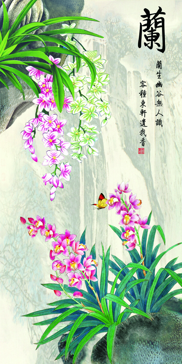 蘭花圖片