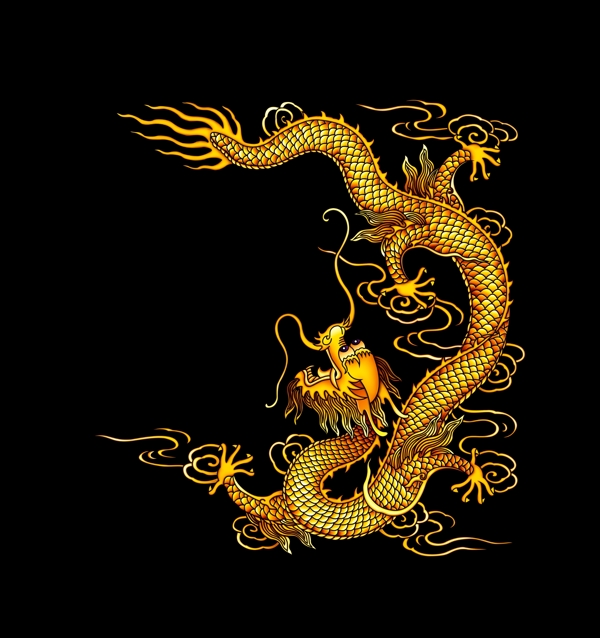 中華極品龍王圖片