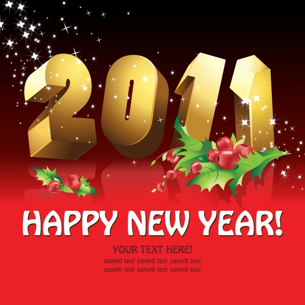 2011年