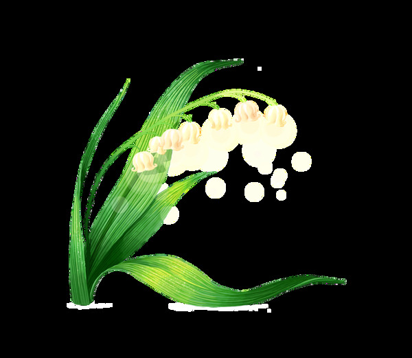 綠色樹葉小花朵png元素