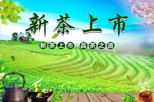茶葉海報
