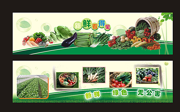 有机蔬菜展板设计图片