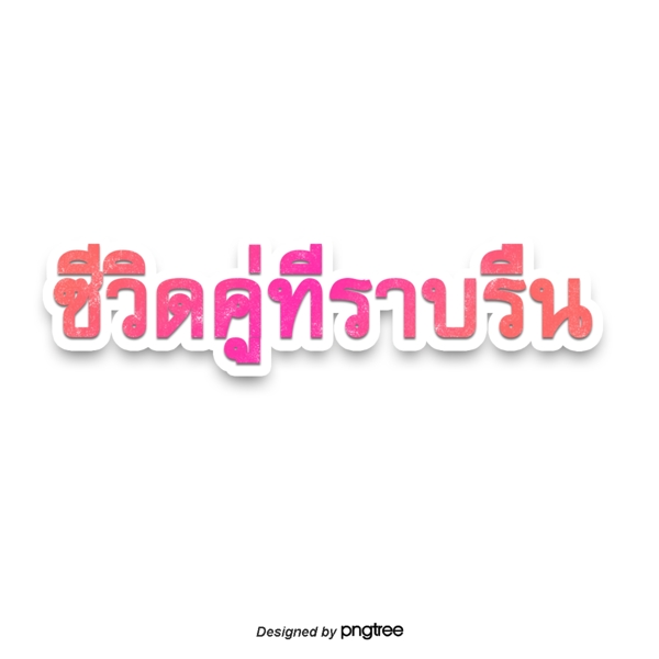 泰国文字字体平滑带宽双粉红色的番红花