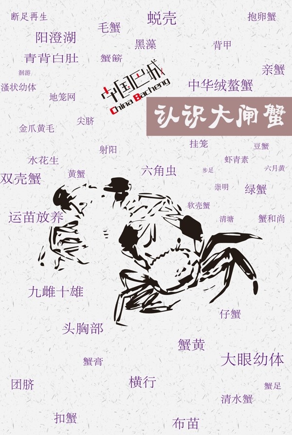 認(rèn)識(shí)大閘蟹