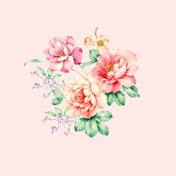 位圖psd植物花朵免費(fèi)素材