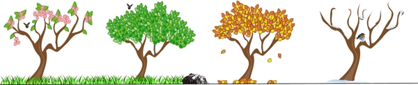 树的四季变化插图