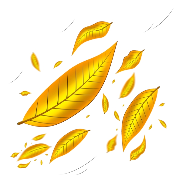 被风吹落的金黄色树叶