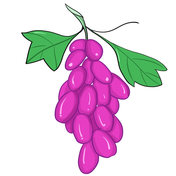 葡萄种植植物说过生长