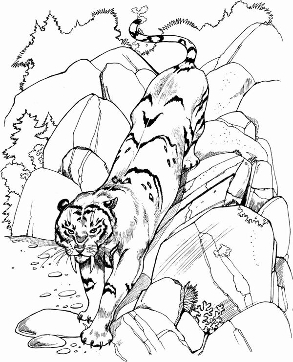 手繪動物畫動物素描