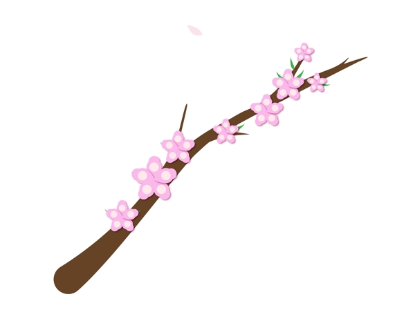 日本绽放的樱花插画