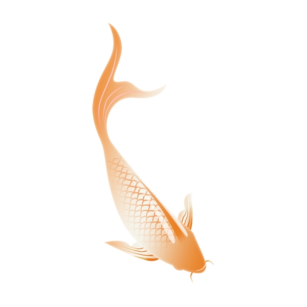 傳統(tǒng)中國風(fēng)鯉魚png元素