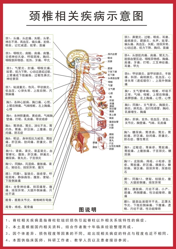 脊椎相关疾病示意图