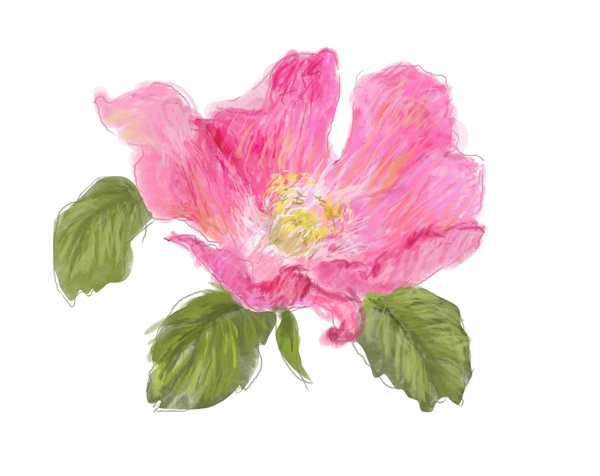 數(shù)碼印花圖案