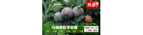 水果李子熱賣海報(bào)