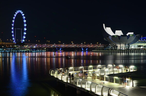 新加坡港湾夜景
